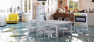 Plumbing Disasters That Need Professional Help La Mesa Ca